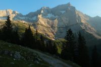 2015-07-02_2Hahnenkampl (574).JPG
